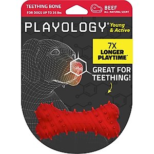 Playology Beef Scented Young & Active Teething Bone Dog Toy, Small