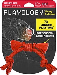 Playology Beef Scented Young & Active Sensory Rope Dog Toy, Small,