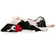 Show in main carousel: Playology Beef Scented Young & Active Teething Bounce Ball Dog Toy, Medium slide 4 of 10