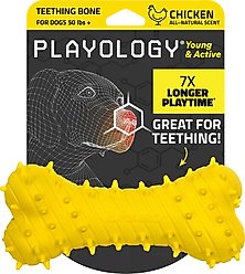 Playology Chicken Scented Young & Active Teething Bone Dog Toy, Jumbo