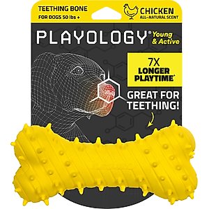 Playology Chicken Scented Young & Active Teething Bone Dog Toy, Jumbo