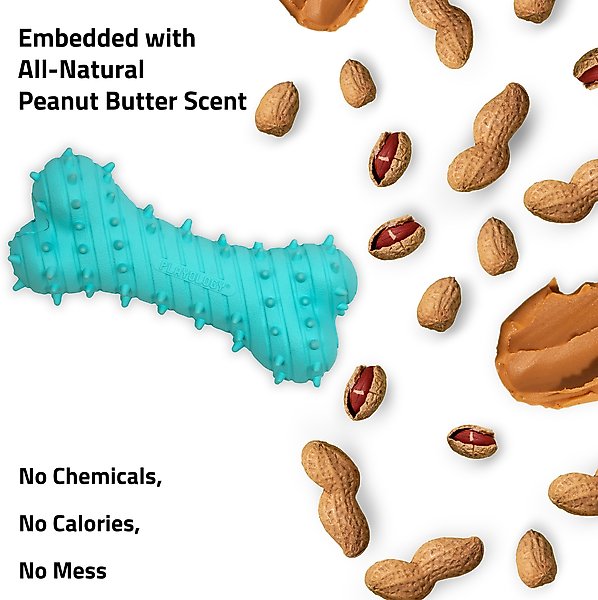 Show full view: Playology Peanut Butter Scented Young & Active Teething Bone Dog Toy, Jumbo, 1 count slide 5 of 10