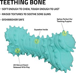 Playology Peanut Butter Scented Young & Active Teething Bone Dog Toy, Jumbo, 1 count slide 2 of 6