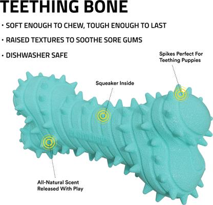 Show full view: Playology Peanut Butter Scented Young & Active Teething Bone Dog Toy, Jumbo, 1 count slide 2 of 9