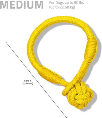 Show full view: Playology Chicken Scented Young & Active Tough Tug Knot Dog Toy, Medium slide 6 of 8