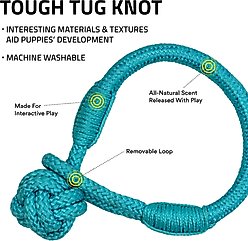 Playology Peanut Butter Scented Young & Active Tough Tug Knot Dog Toy, Medium slide 2 of 6