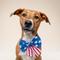 Show in main carousel: The Paws Patriotic Sailor Bow, Blue, One Size slide 2 of 5