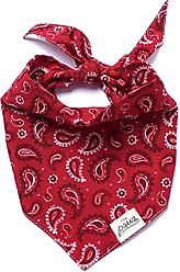The Paws Dallas Dog Bandana, Red, Small