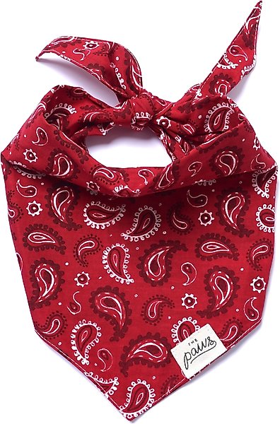 Show full view: The Paws Dallas Dog Bandana, Red, Small slide 1 of 7