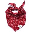 Show in main carousel: The Paws Dallas Dog Bandana, Red, Small slide 1 of 7