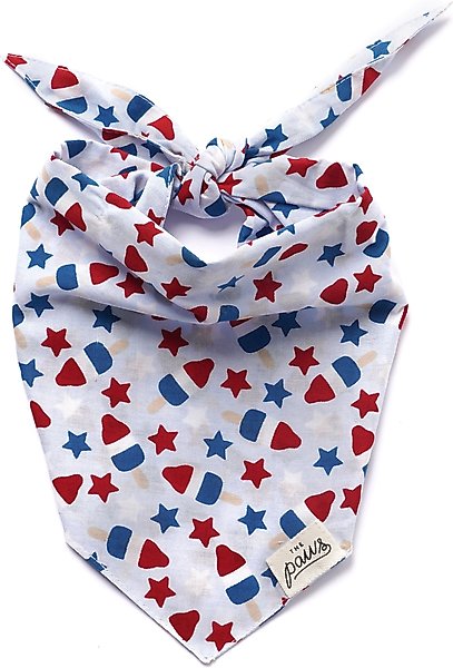 Show full view: The Paws Pop Dog Bandana, Blue, Small slide 1 of 8