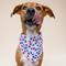 Show in main carousel: The Paws Pop Dog Bandana, Blue, Small slide 3 of 9