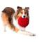 Show in main carousel: Playology Beef Scented Crinkle Disc Plush Dog Toy, Jumbo slide 3 of 7
