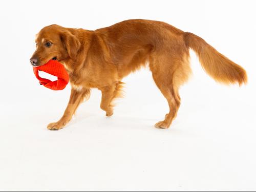 Show full view: Playology Beef Scented Crinkle Ring Plush Dog Toy, Jumbo slide 3 of 7