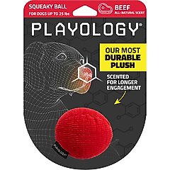 Playology Beef Scented Squeaky Ball Plush Dog Toy, Small