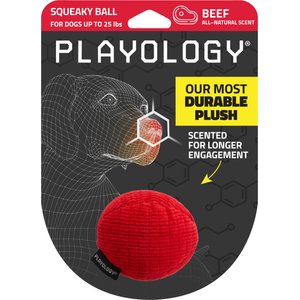Playology Beef Scented Squeaky Ball Plush Dog Toy, Small