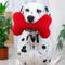 Show in main carousel: Playology Beef Scented Squeaky Bone Plush Dog Toy, Jumbo slide 4 of 8