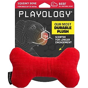 Playology Beef Scented Squeaky Bone Plush Dog Toy, Medium