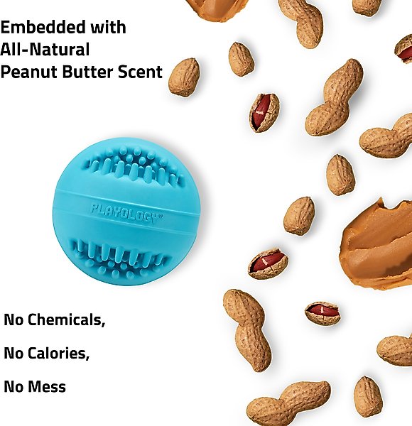 Show full view: Playology Peanut Butter Scented Dental Chew Ball Dog Toy, Medium slide 5 of 8