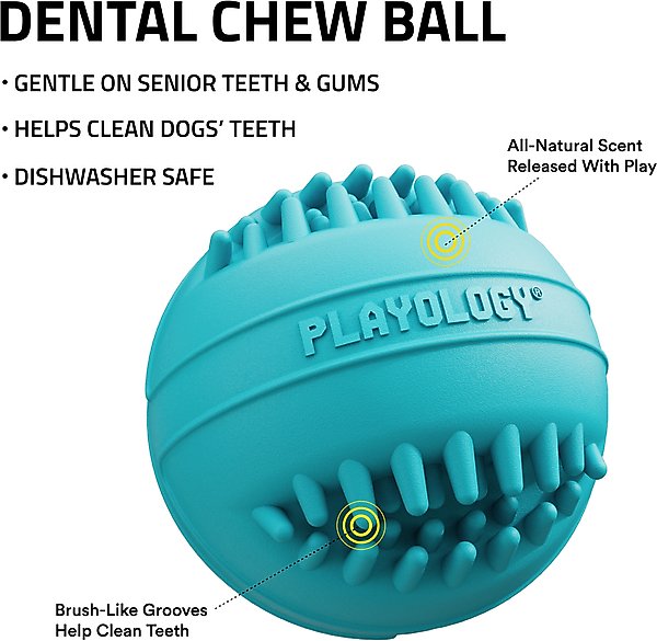 Show full view: Playology Peanut Butter Scented Dental Chew Ball Dog Toy, Medium slide 3 of 8