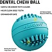 Show in main carousel: Playology Peanut Butter Scented Dental Chew Ball Dog Toy, Medium slide 3 of 8