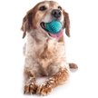 Show in main carousel: Playology Peanut Butter Scented Dental Chew Ball Dog Toy, Medium slide 4 of 8