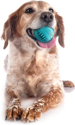 Show full view: Playology Peanut Butter Scented Dental Chew Ball Dog Toy, Medium slide 3 of 7