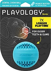 Playology Peanut Butter Scented Dental Chew Ball Dog Toy, Medium
