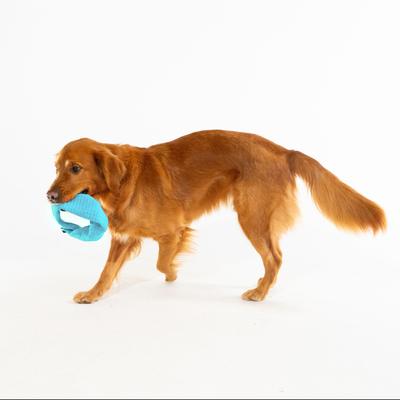 Show full view: Playology Peanut Butter Scented Crinkle Ring Plush Dog Toy, Jumbo slide 3 of 7