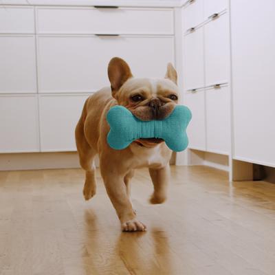 Show full view: Playology Peanut Butter Scented Squeaky Bone Plush Dog Toy, Medium slide 3 of 7