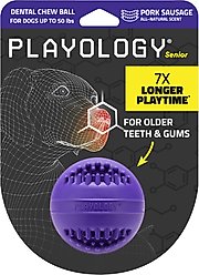 Playology Pork Sausage Scented Dental Chew Ball Dog Toy, Medium