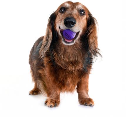 Show full view: Playology Pork Sausage Scented Dental Chew Ball Dog Toy, Small slide 3 of 6