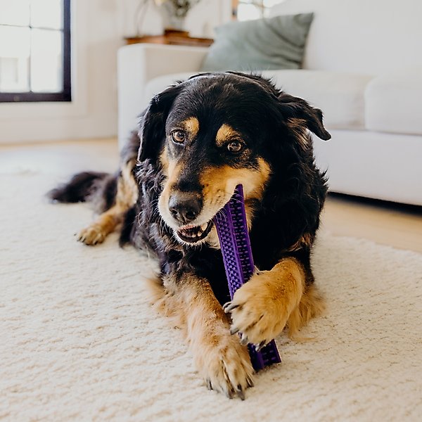 Show full view: Playology Pork Sausage Scented Dental Chew Stick Dog Toy, Medium slide 4 of 10