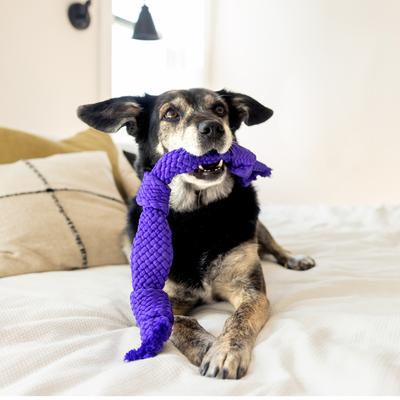 Show full view: Playology Pork Sausage Scented Dri-Tech Dental Rope Dog Toy, Jumbo slide 3 of 7