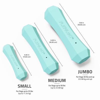 Show full view: Playology Peanut Butter Scented Squeaky Chew Stick Dog Toy, Jumbo slide 6 of 10