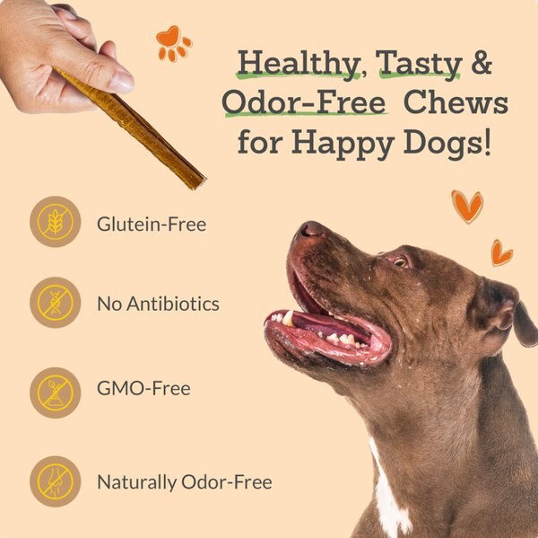 Advance Pet Product 12-inch Bully Stick Braided Dog Chew