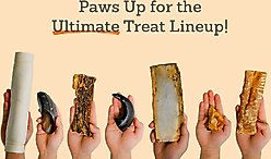 Advance Pet Product Water Buffalo Cheek Chips Dog Natural Chew Treats, 20 count slide 2 of 3