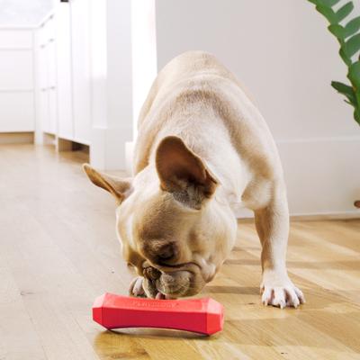 Show full view: Playology Beef Scented Squeaky Chew Stick Dog Toy, Medium slide 3 of 9