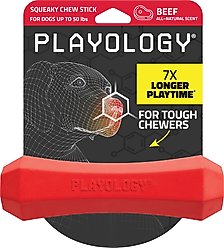Playology Beef Scented Squeaky Chew Stick Dog Toy, Medium