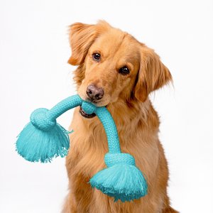 Playology Dri-Tech Peanut Butter Scented Rope Dog Toy, Jumbo