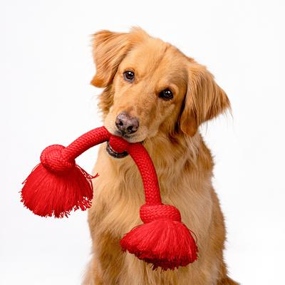 Show full view: Playology Dri-Tech Rope Dog Toy, Jumbo, Beef slide 4 of 10