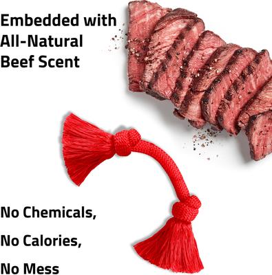 Show full view: Playology Dri-Tech Rope Dog Toy, Medium, Beef slide 5 of 10