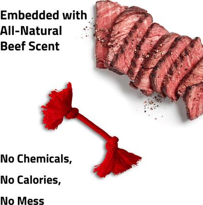 Show full view: Playology Dri-Tech Rope Dog Toy, Small, Beef slide 4 of 9