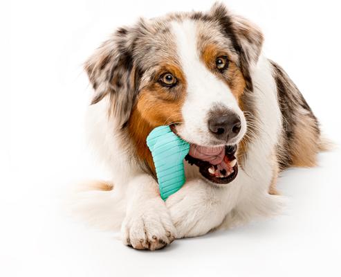 Show full view: Playology Peanut Butter Scented Dual Layer Bone Dog Toy, Jumbo slide 3 of 9