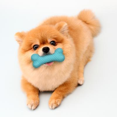 Show full view: Playology Peanut Butter Scented Dual Layer Bone Dog Toy, Small slide 3 of 9