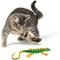 Show in main carousel: Playology Windup Lizard Cat Toy slide 3 of 7
