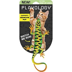 Playology Windup Lizard Cat Toy