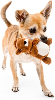 Show full view: Playology Peanut Butter Scented Squirrel Plush Squeaky Dog Toy slide 4 of 9