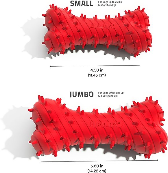 Show full view: Playology Beef Scented Young & Active Teething Bone Dog Toy, Jumbo slide 6 of 10