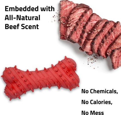 Show full view: Playology Beef Scented Young & Active Teething Bone Dog Toy, Small slide 4 of 8